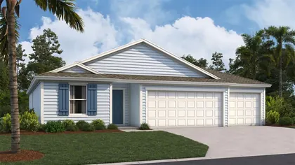 PALM COAST FL Home