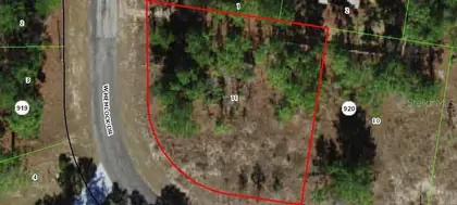 CITRUS SPRINGS FL Property