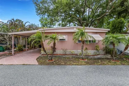 SAFETY HARBOR FL Home