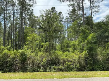 HASTINGS FL Property