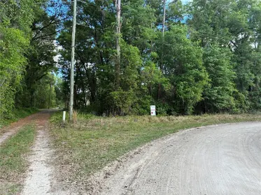 OCKLAWAHA FL Property