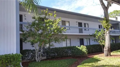 OLDSMAR FL Home