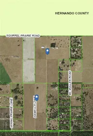 SPRING HILL FL Property