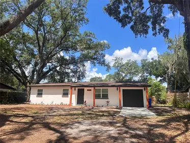 LUTZ FL Home