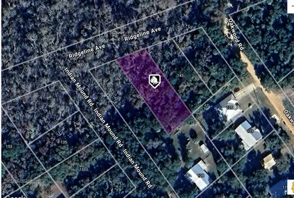 SATSUMA FL Property