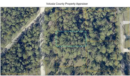 DELAND FL Property