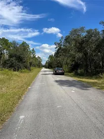 DUNNELLON FL Property