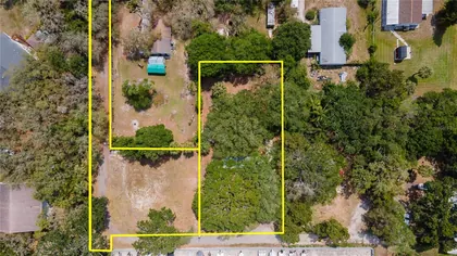 HOLIDAY FL Property