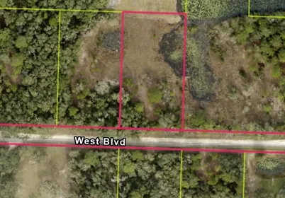 WEBSTER FL Property