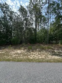 DUNNELLON FL Property