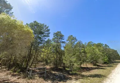 PERRY FL Property