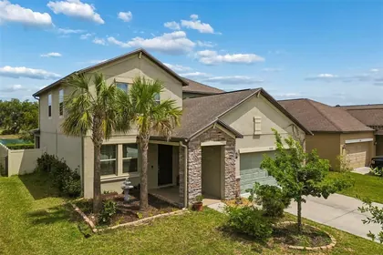 WESLEY CHAPEL FL Home