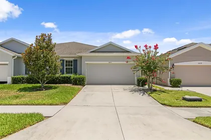 LAND O LAKES FL Home