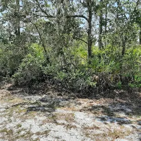 INDIAN LAKE ESTATES FL Property
