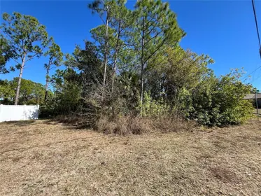 NORTH PORT FL Property