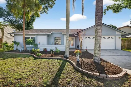 TEMPLE TERRACE FL Home