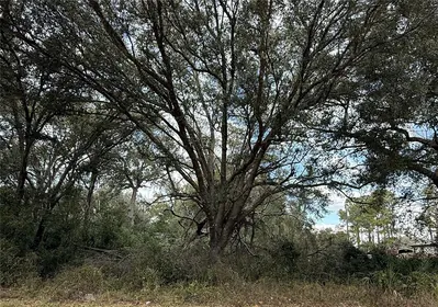 DADE CITY FL Property
