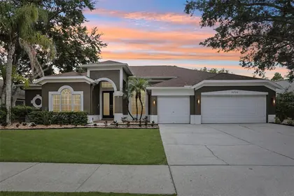 ODESSA FL Home
