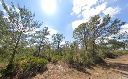 LAKE PLACID FL Property