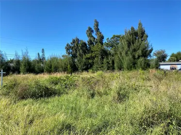 ENGLEWOOD FL Property