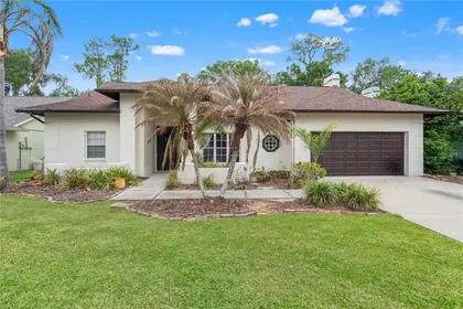 VALRICO FL Home