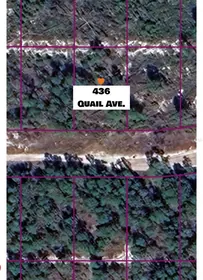 SEBRING FL Property