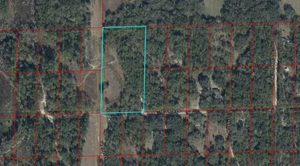 BRONSON FL Property