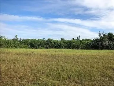 CAPE CORAL FL Property