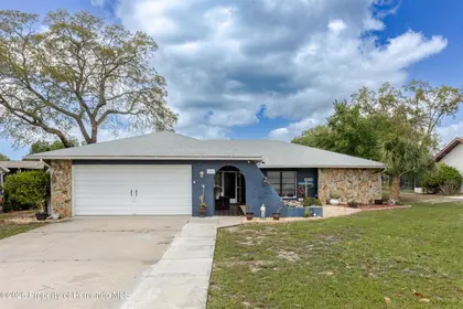 WEEKI WACHEE FL Home