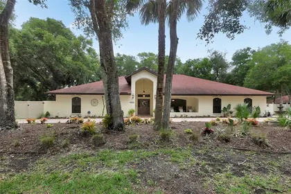 NEW SMYRNA BEACH FL Home