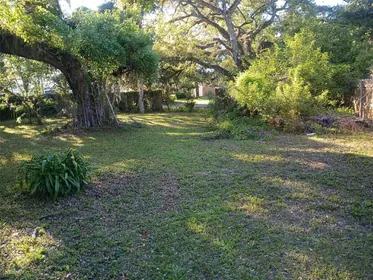 NEW PORT RICHEY FL Property