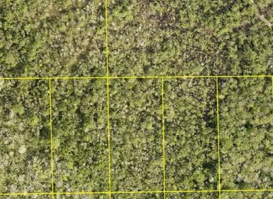 DELAND FL Property