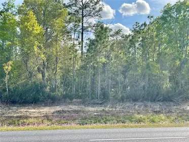 WILLISTON FL Property
