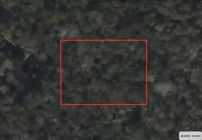 ORANGE CITY FL Property