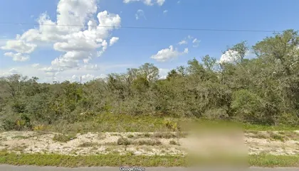 LAKE PLACID FL Property