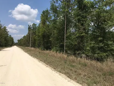 WILLISTON FL Property