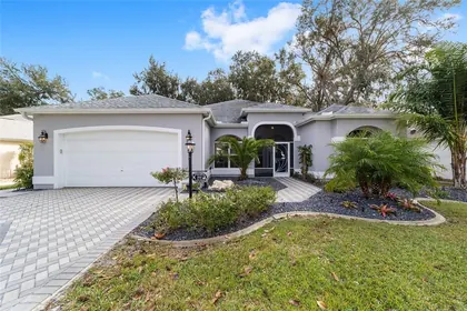THE VILLAGES FL Home