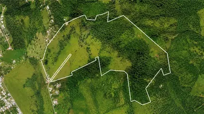 NAGUABO PR Property