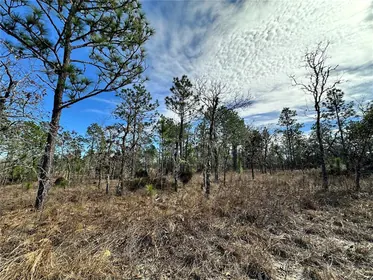 WILLISTON FL Property
