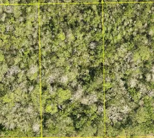 DELAND FL Property