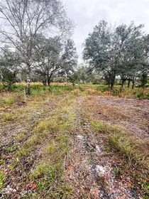 ARCADIA FL Property