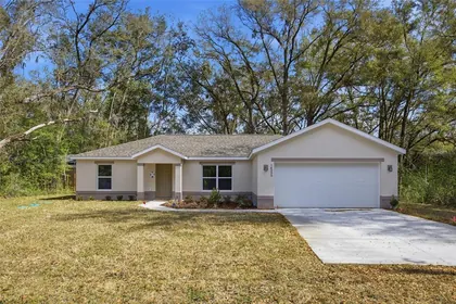 SUMMERFIELD FL Home