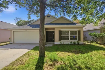 TAVARES FL Home