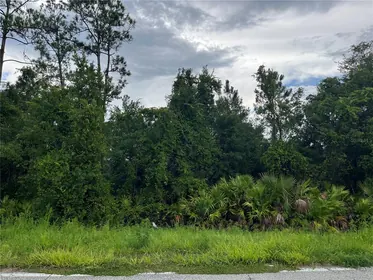 PALATKA FL Property