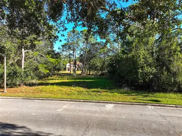 ST CLOUD FL Property