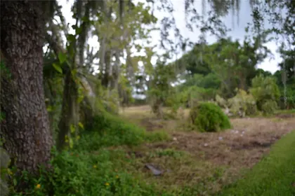 INTERLACHEN FL Property