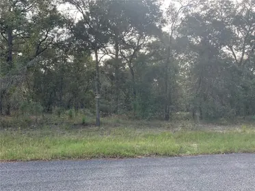 MORRISTON FL Property
