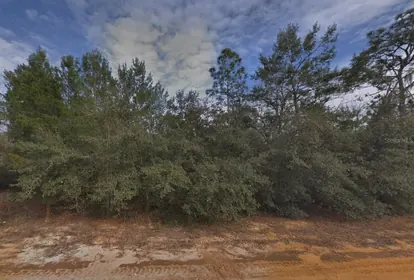 INTERLACHEN FL Property