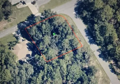 CITRUS SPRINGS FL Property