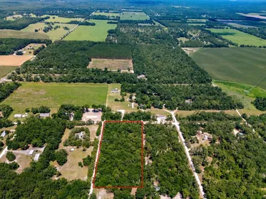 BRANFORD FL Property
